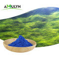 Colorant alimentaire naturel en poudre de phycocyanine de spiruline bleue